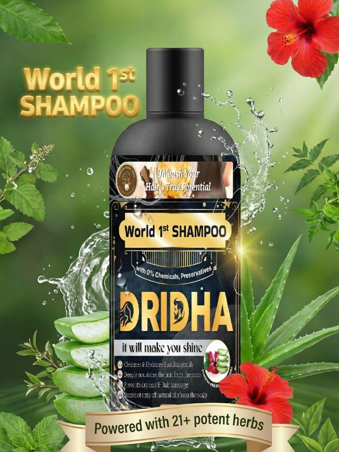 DRIDHA